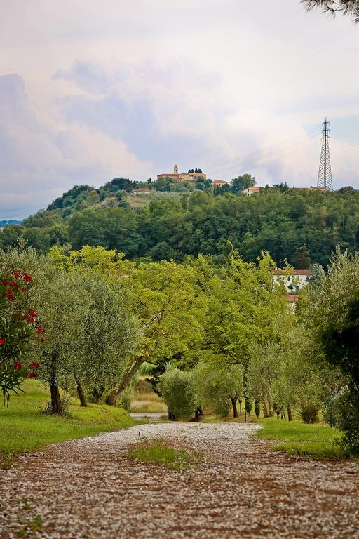 Podere Lo Stringaio Fauglia Zimmer foto