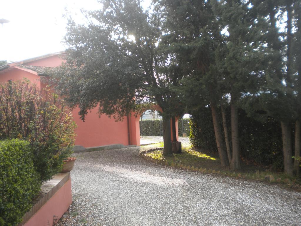 Podere Lo Stringaio Fauglia Zimmer foto